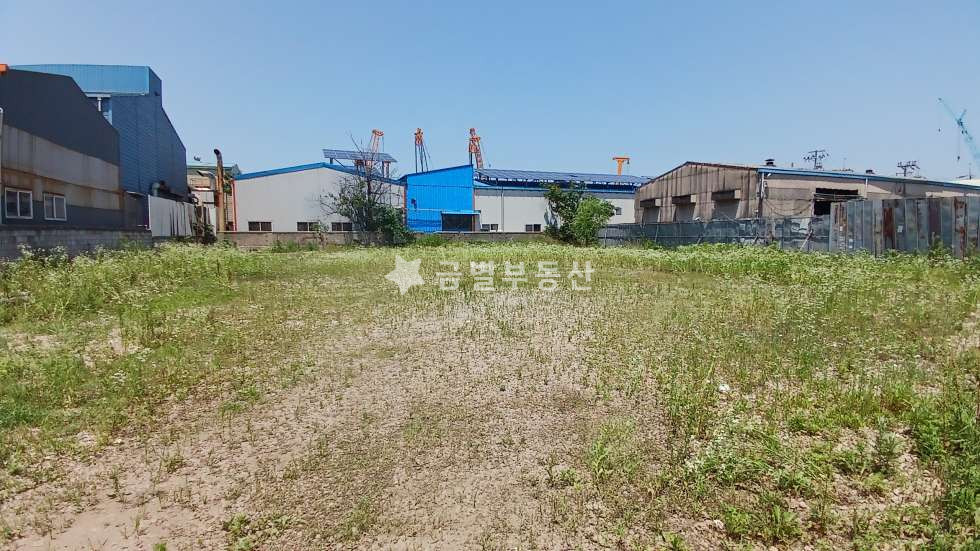 경기 김포시 양촌읍 학운리 학운리 나대지 임대 월세 매물번호 10674 사진 2