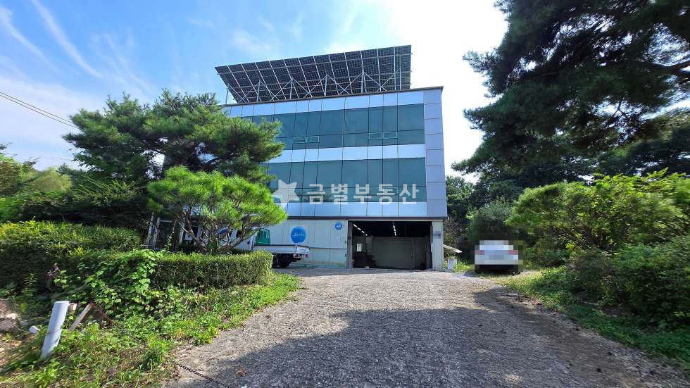 경기 김포시 고촌읍 풍곡리 가동 한강뷰 베리굿~! 단독 3층건물 - 음식점, 애견,고양이,카페 가능 월세 매물번호 11054 사진 10