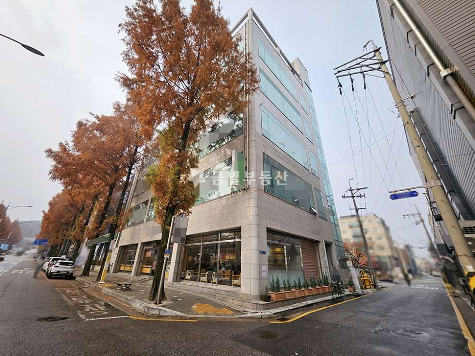 경기 김포시 사우동 사우동 광고효과 좋은 상가 임대 2~4층 월세 매물번호 11251 사진 2